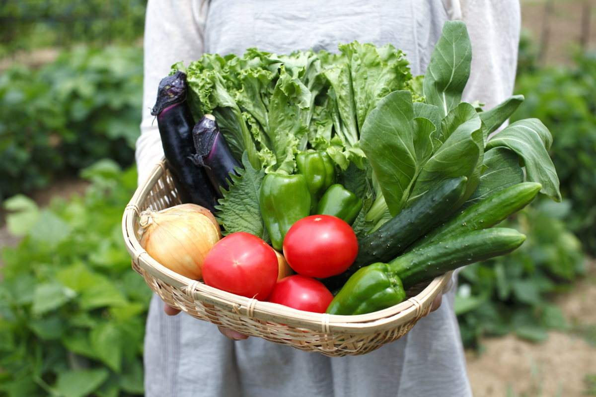 野菜と果物